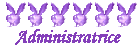Admin Admin